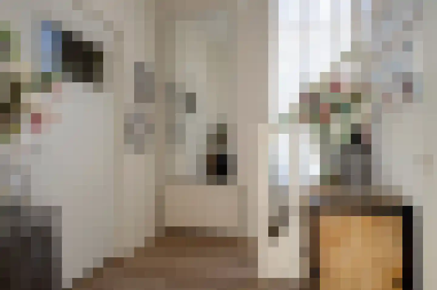 Noorderstraat 160 Sappemeer thumbnail 40