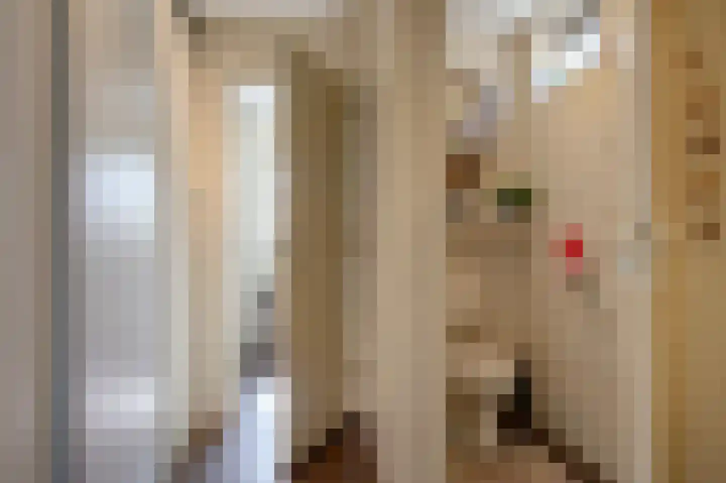 Noorderstraat 160 Sappemeer thumbnail 41
