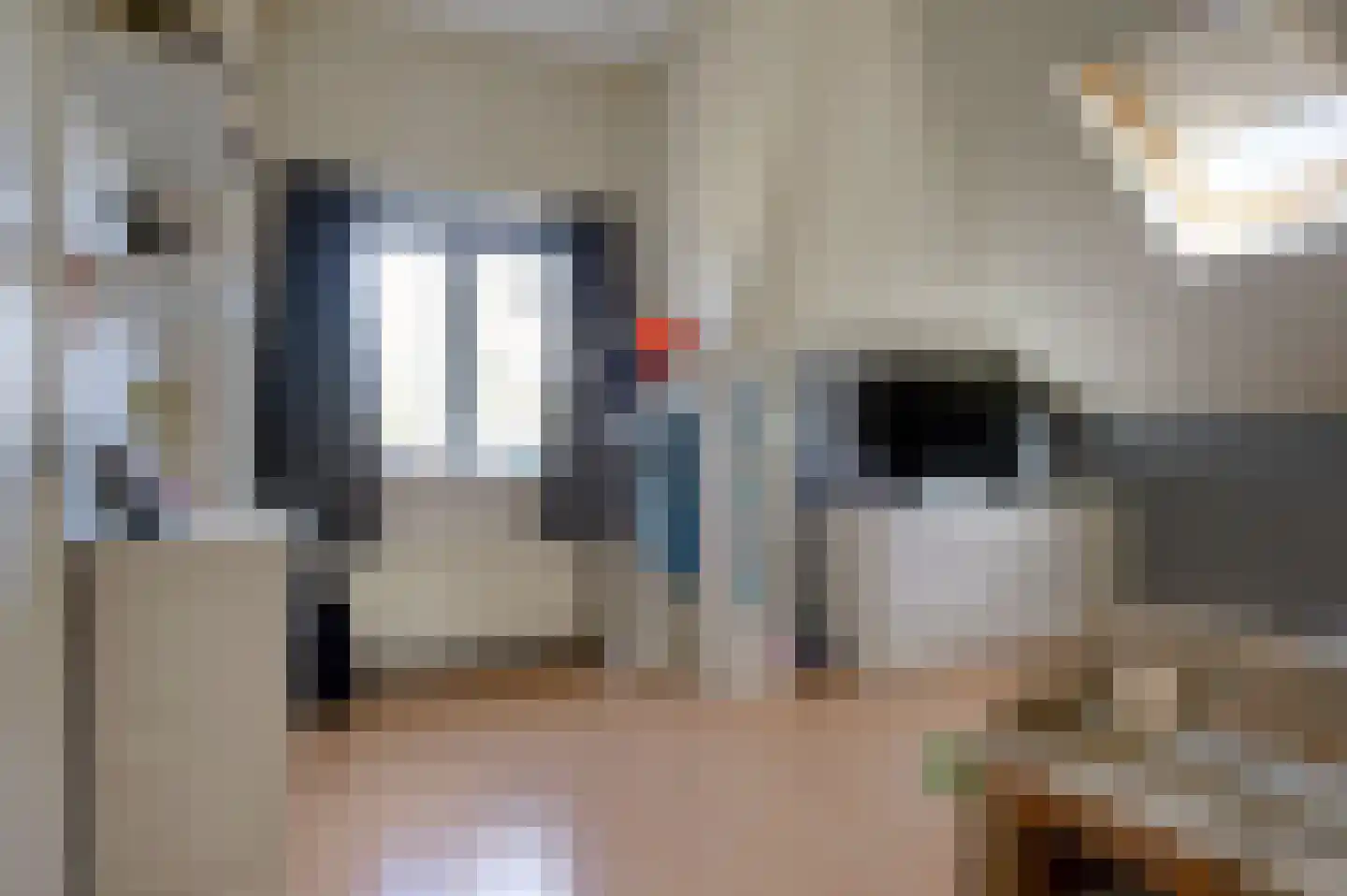 Noorderstraat 160 Sappemeer thumbnail 47