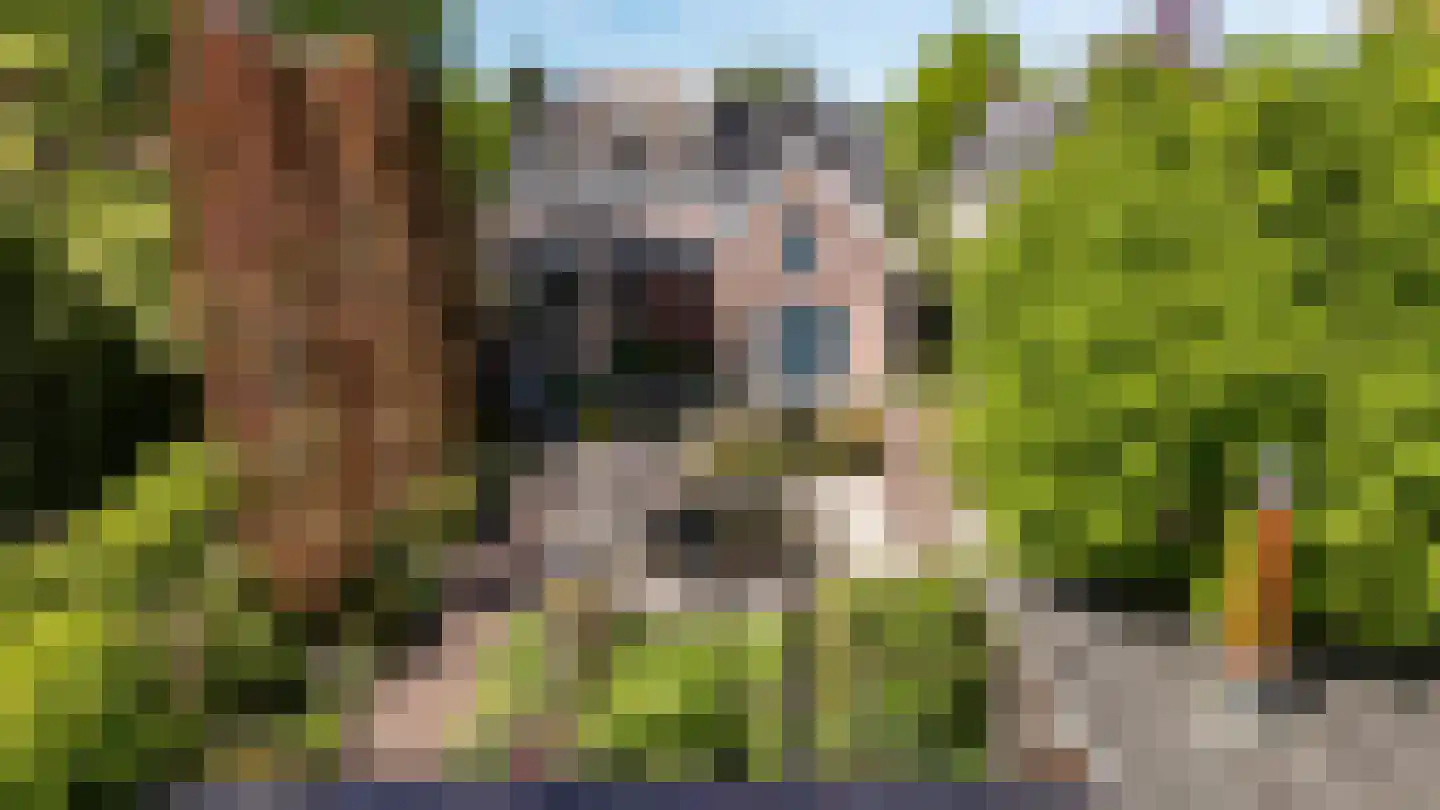 Noorderstraat 168 Sappemeer thumbnail 107