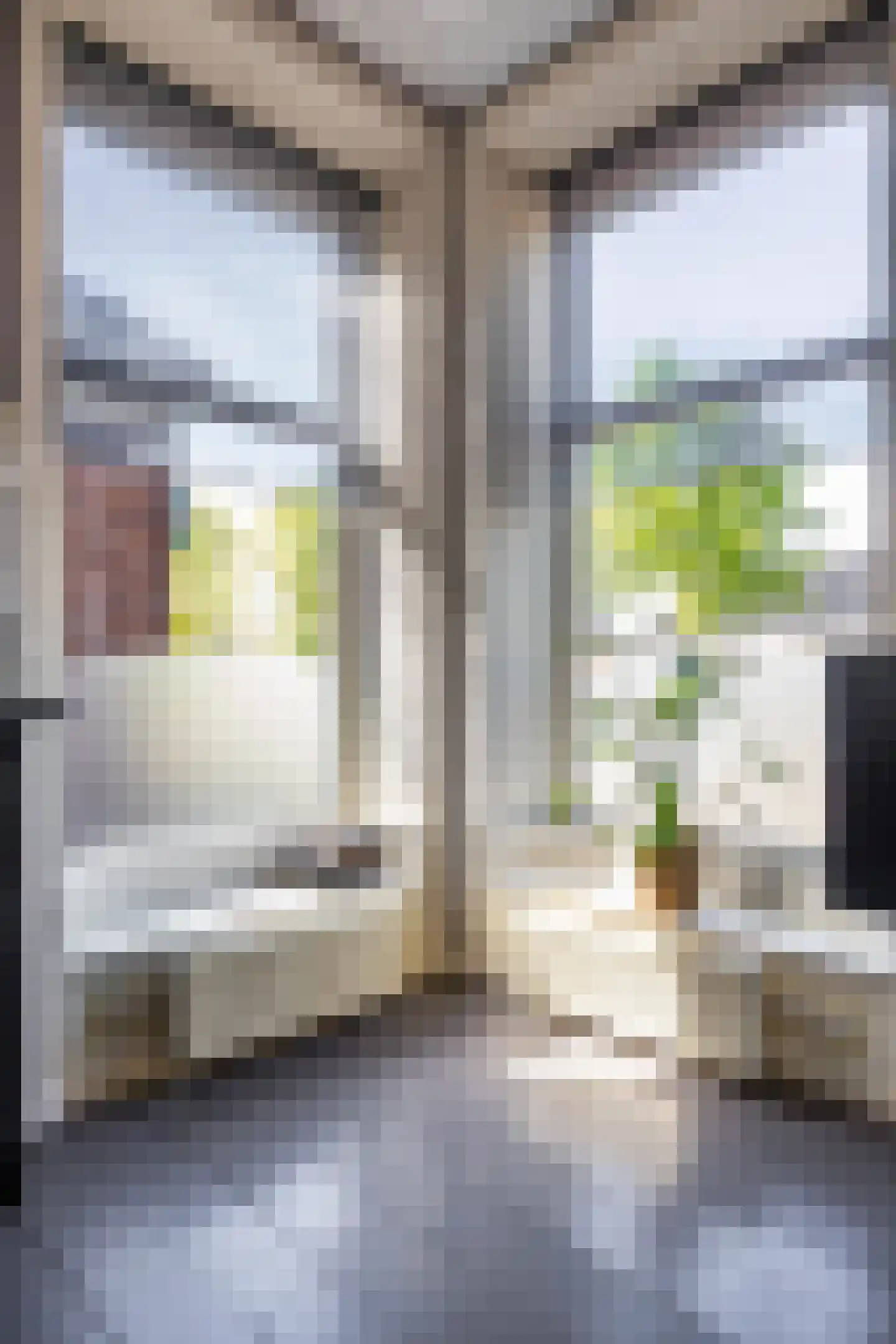 Noorderstraat 168 Sappemeer thumbnail 21