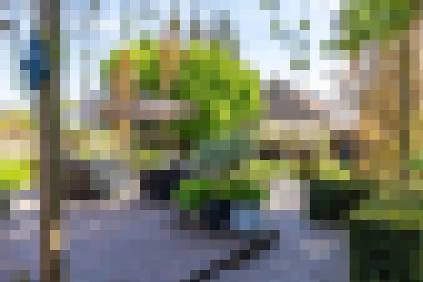 Noorderstraat 168 Sappemeer thumbnail 57