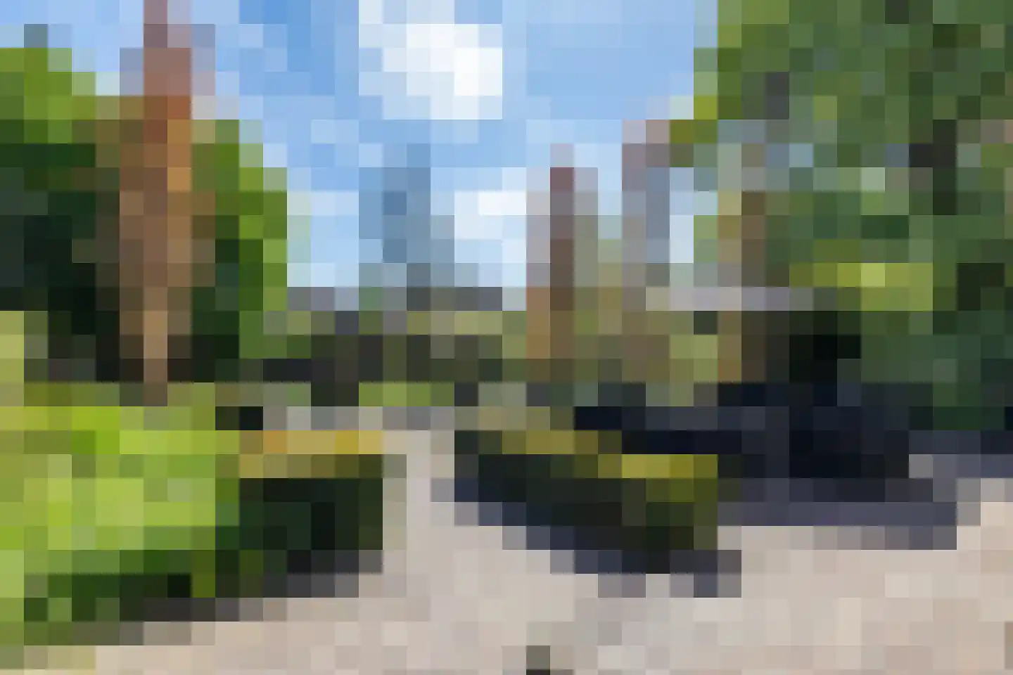 Noorderstraat 168 Sappemeer thumbnail 59