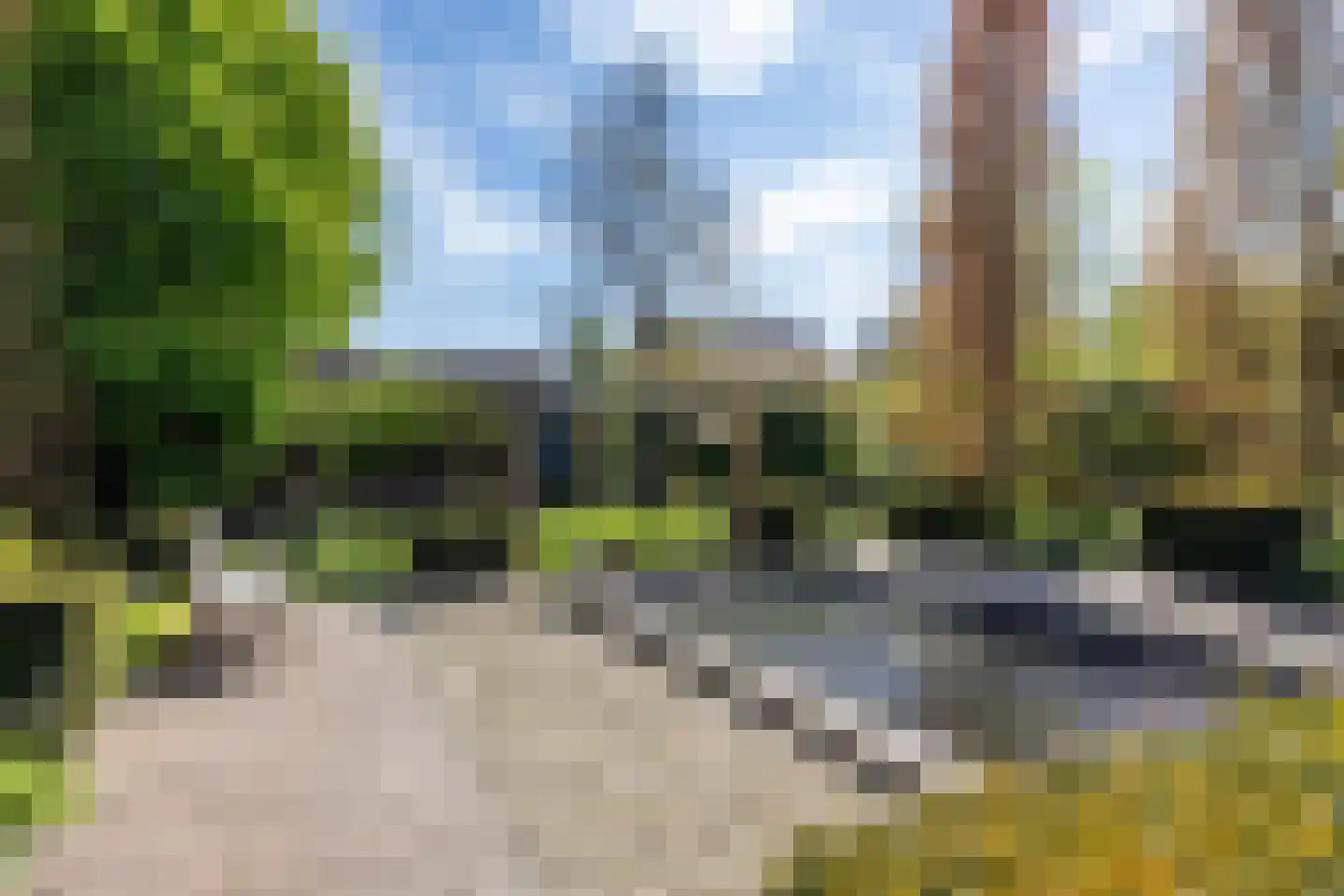 Noorderstraat 168 Sappemeer thumbnail 60