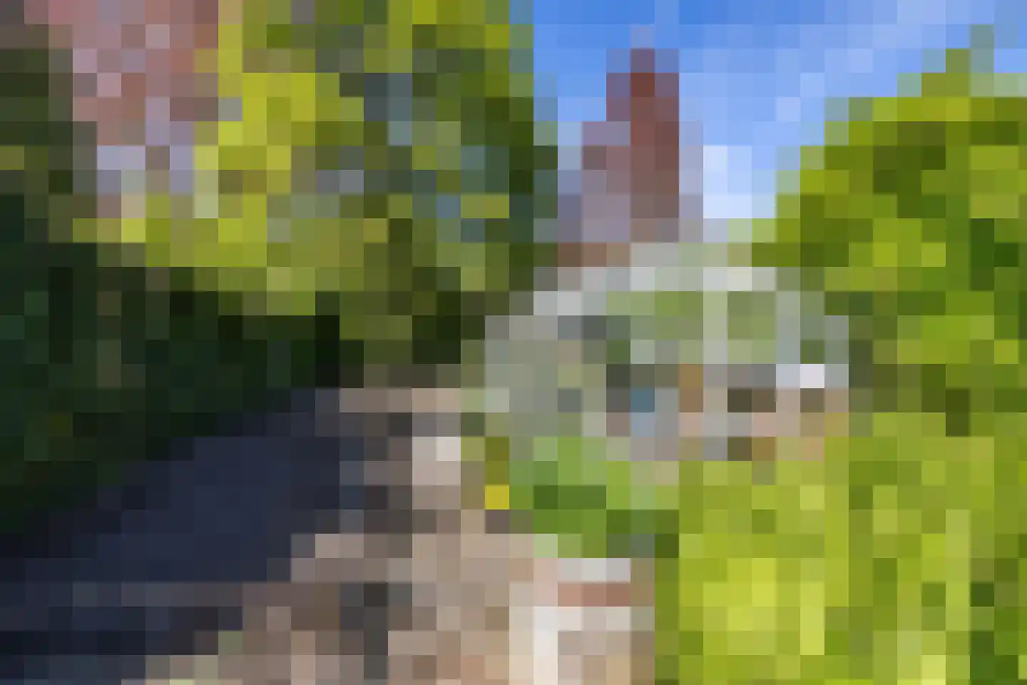 Noorderstraat 168 Sappemeer thumbnail 66