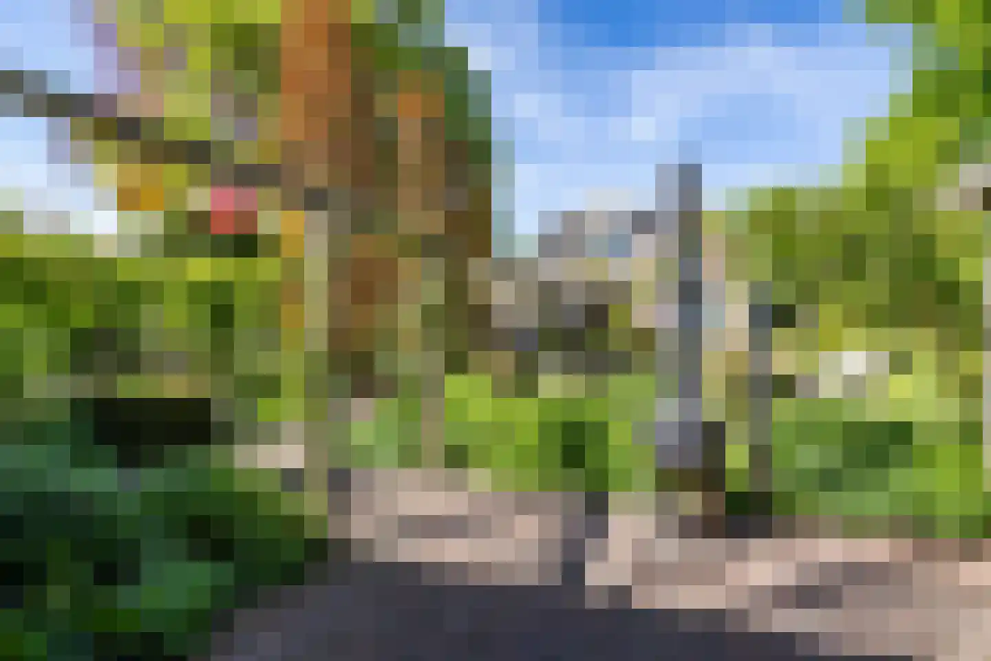 Noorderstraat 168 Sappemeer thumbnail 67