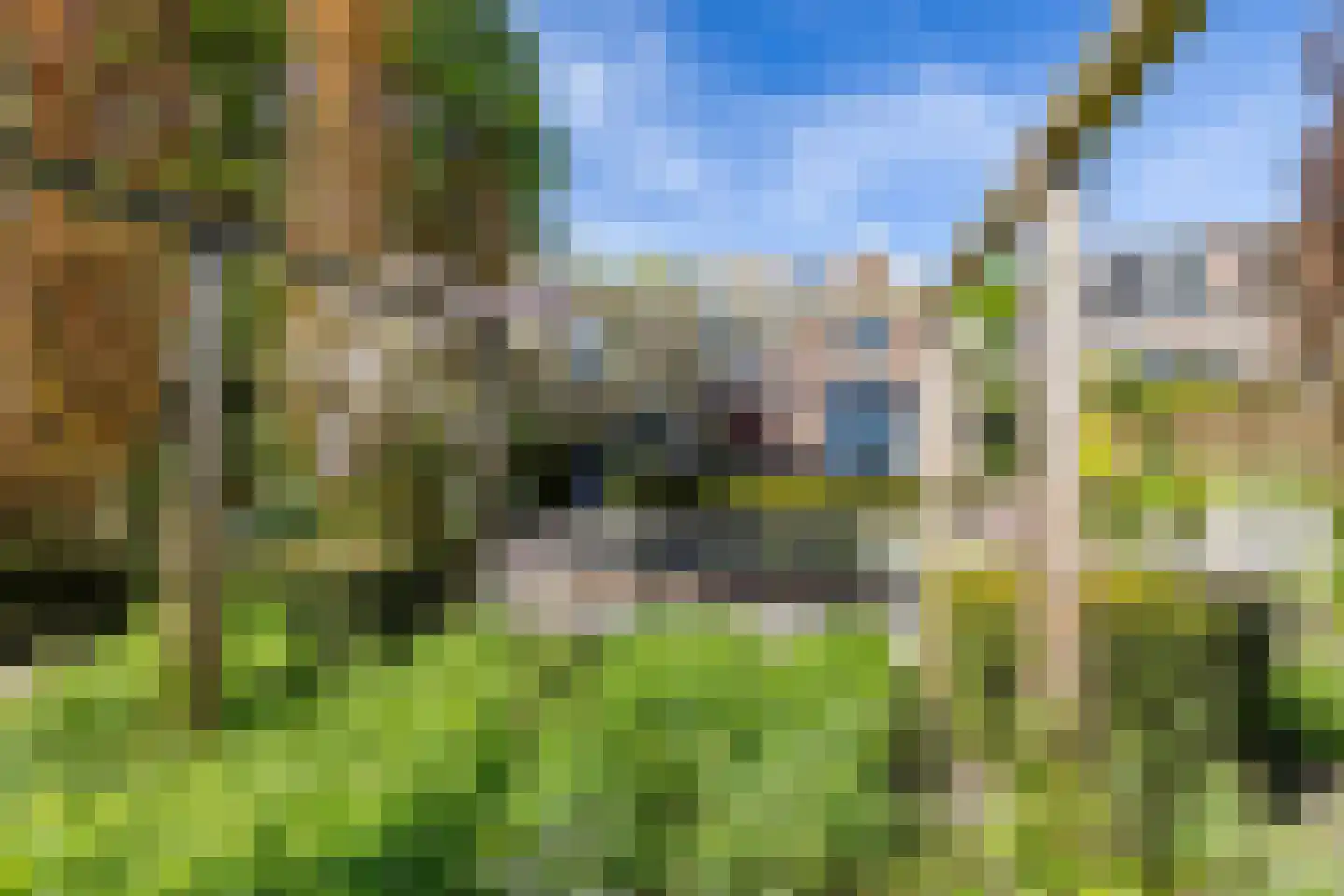Noorderstraat 168 Sappemeer thumbnail 68