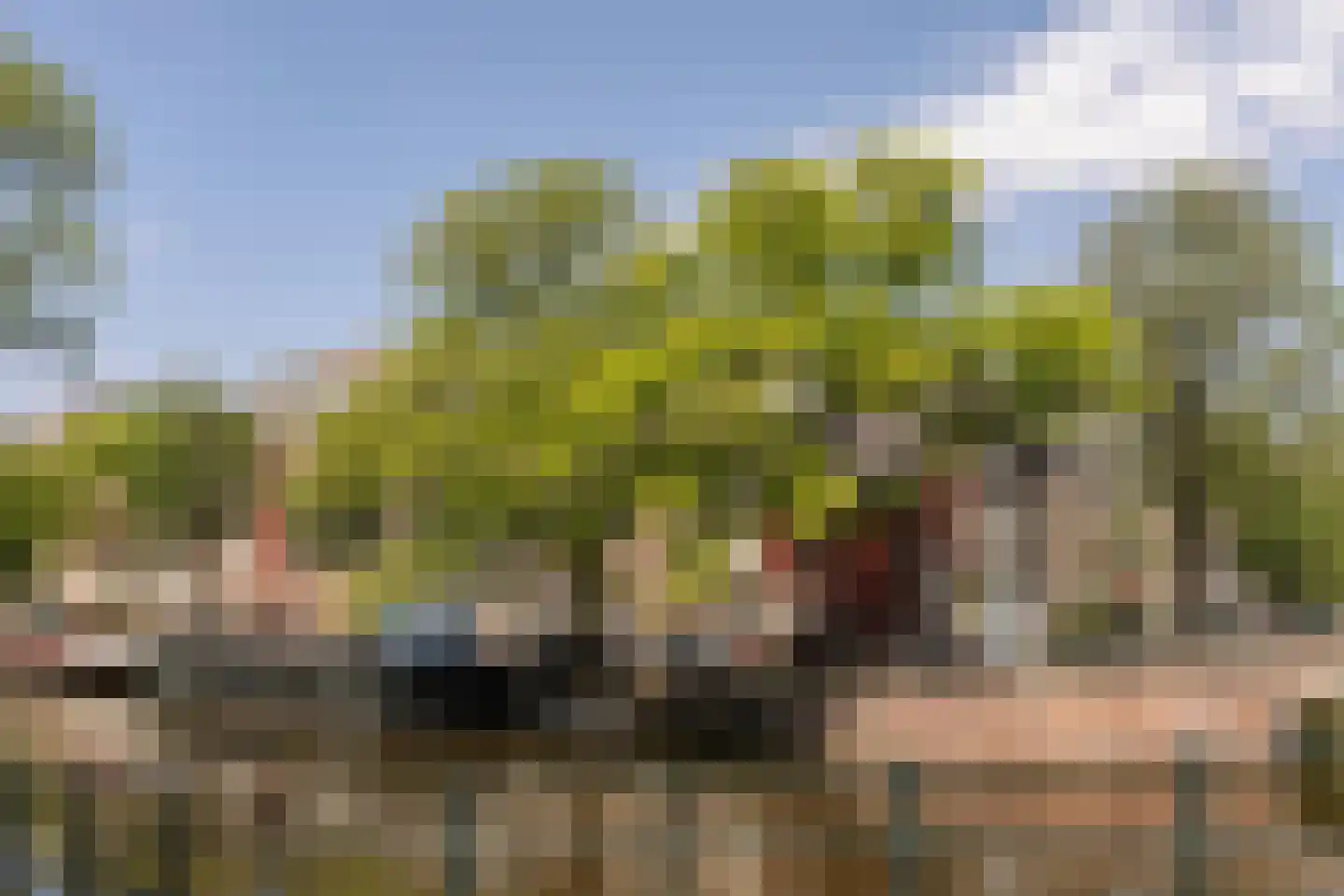 Noorderstraat 19 H Amsterdam thumbnail 31