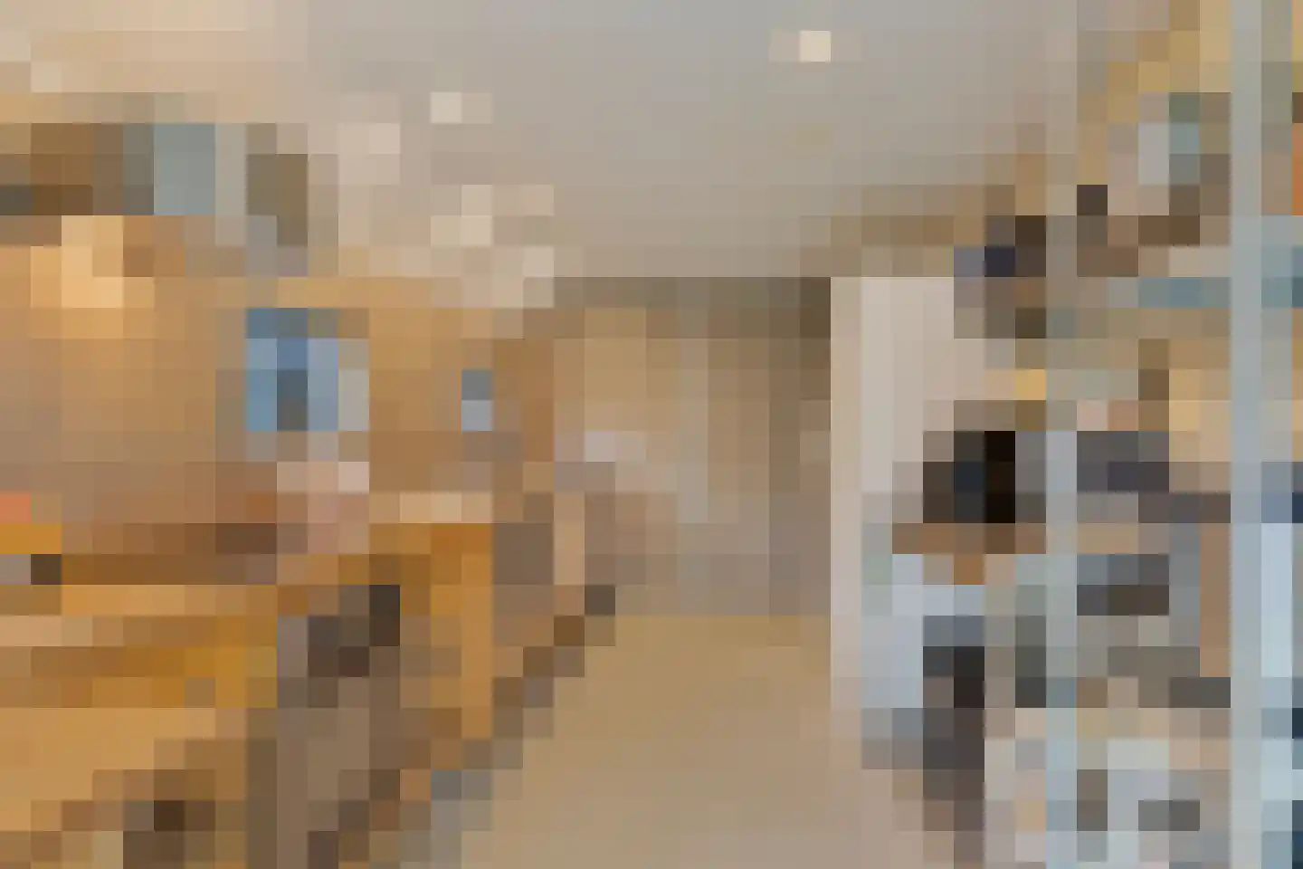 Noorderstraat 2 Buinerveen thumbnail 19