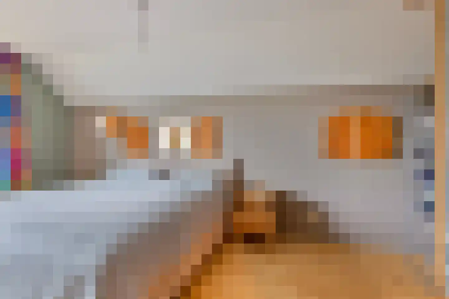 Noorderstraat 2 Buinerveen thumbnail 22