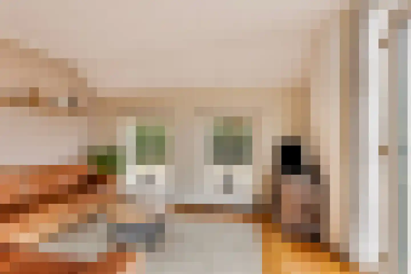 Noorderstraat 2 Buinerveen thumbnail 28