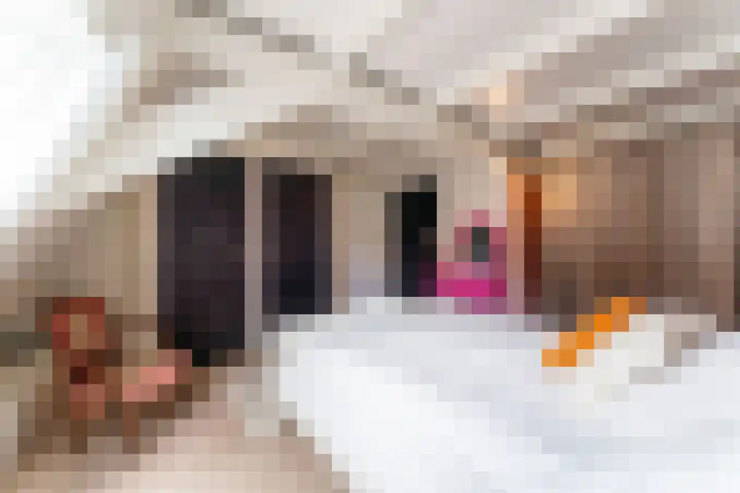 Noorderstraat 2 Uithuizen thumbnail 31