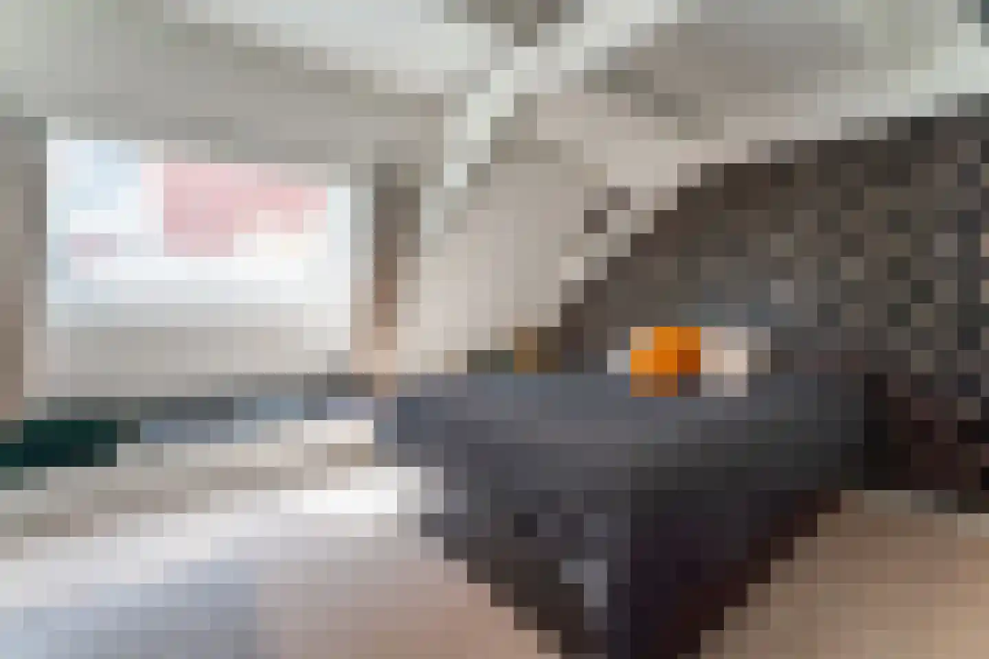 Noorderstraat 2 Uithuizen thumbnail 33