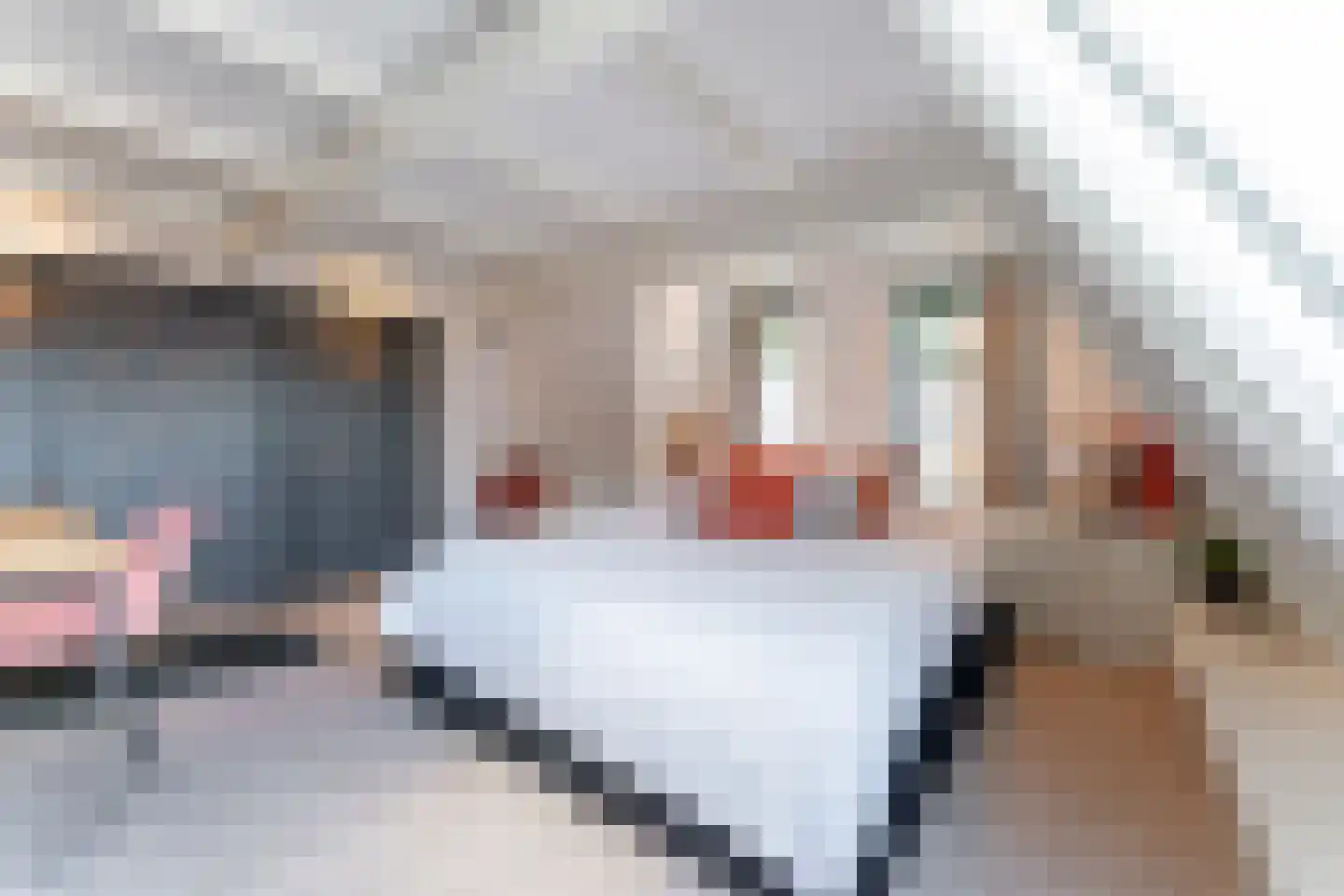 Noorderstraat 2 Uithuizen thumbnail 35