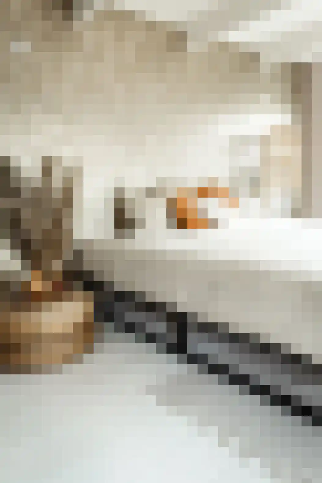 Noorderstraat 2 Uithuizen thumbnail 45