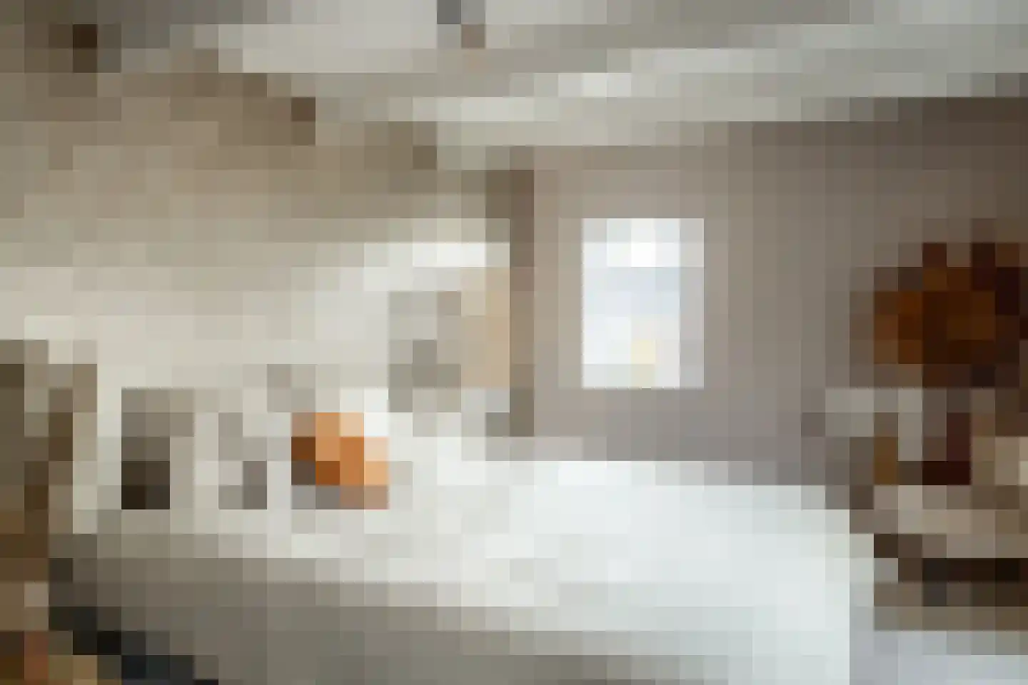 Noorderstraat 2 Uithuizen thumbnail 47