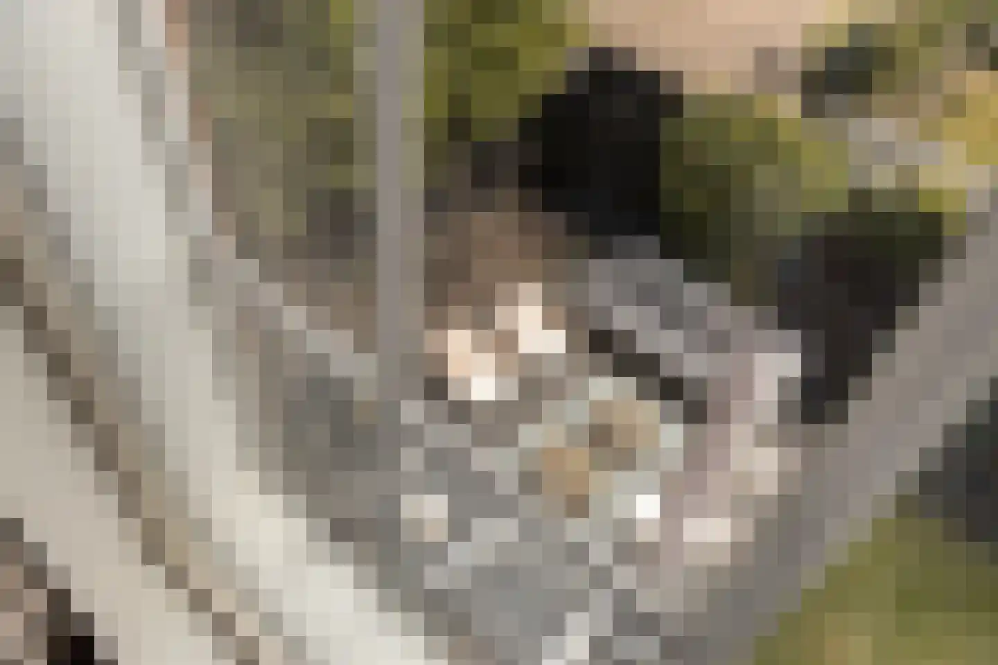 Noorderstraat 2 Uithuizen thumbnail 48