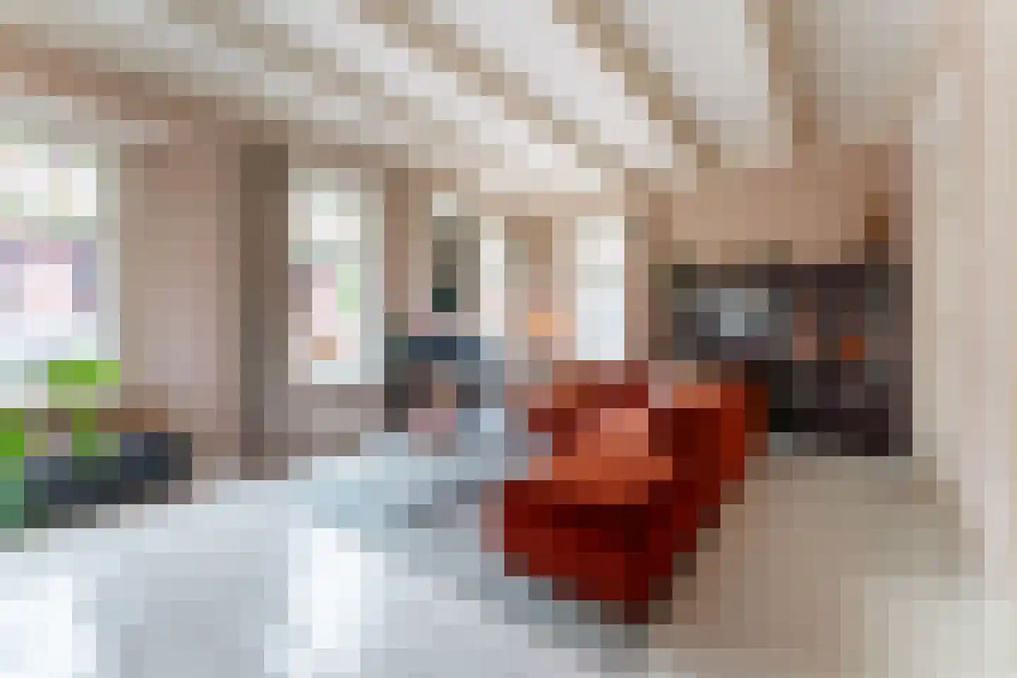 Noorderstraat 2 Uithuizen thumbnail 6