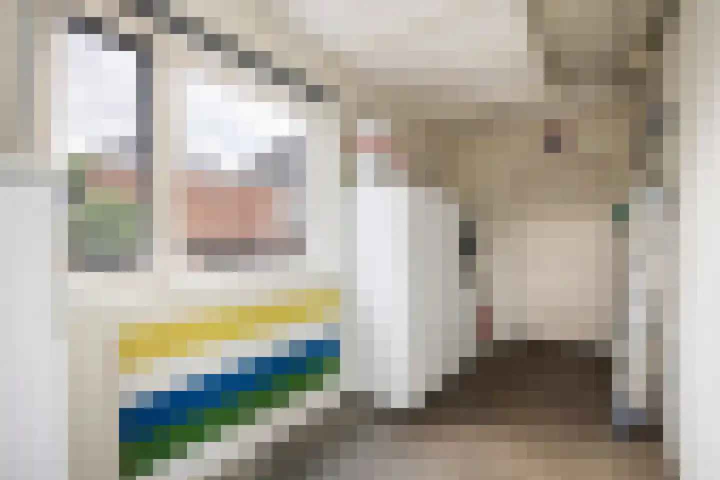 Noorderstraat 21 Ulrum thumbnail 22