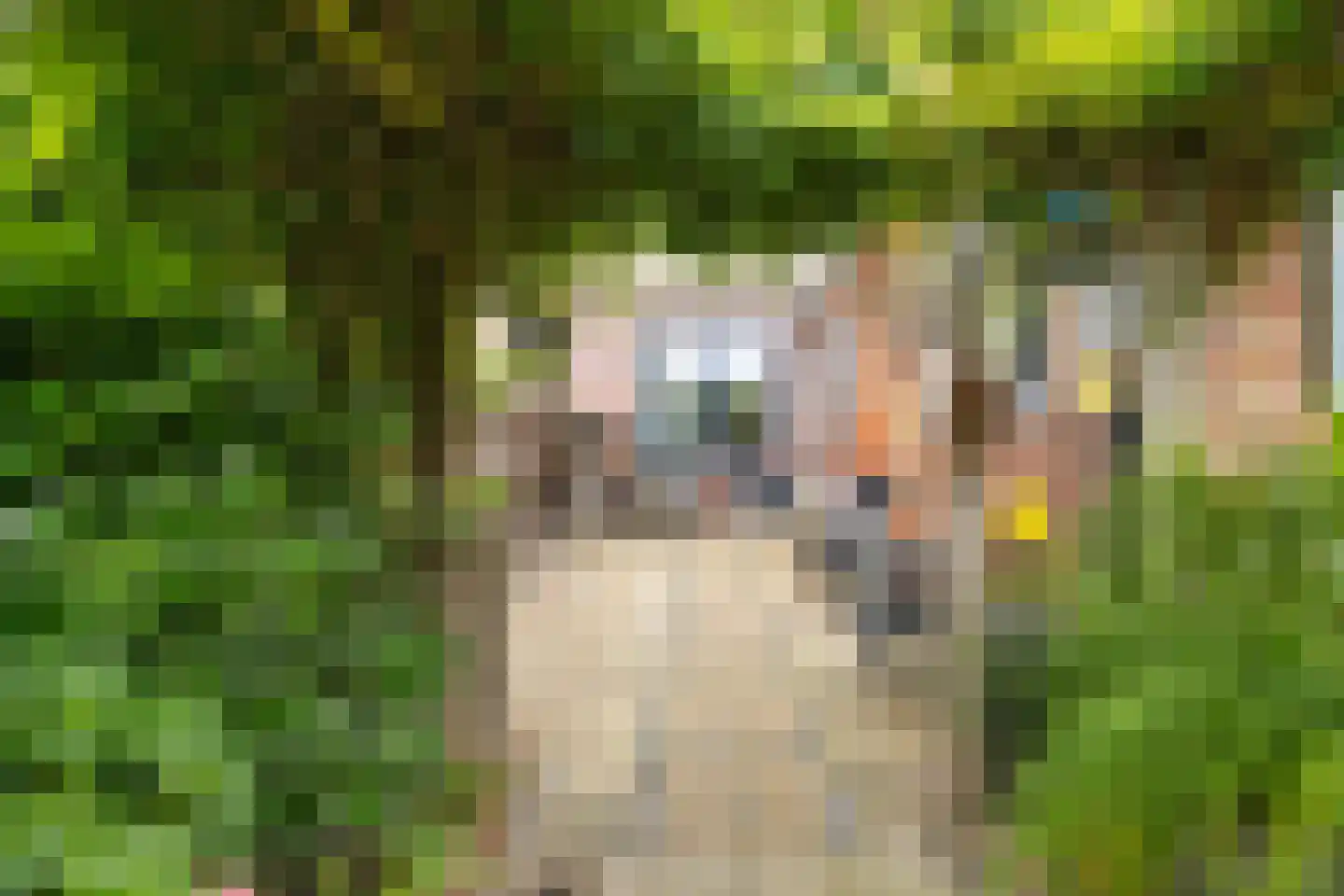 Noorderstraat 21 Ulrum thumbnail 31
