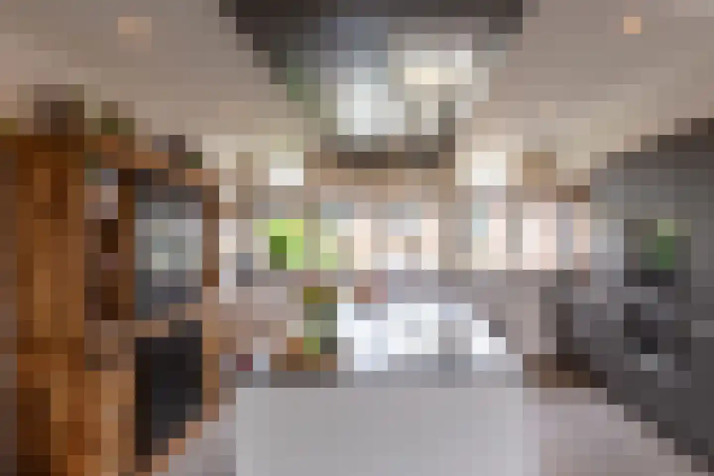 Noorderstraat 219 e Sappemeer thumbnail 13