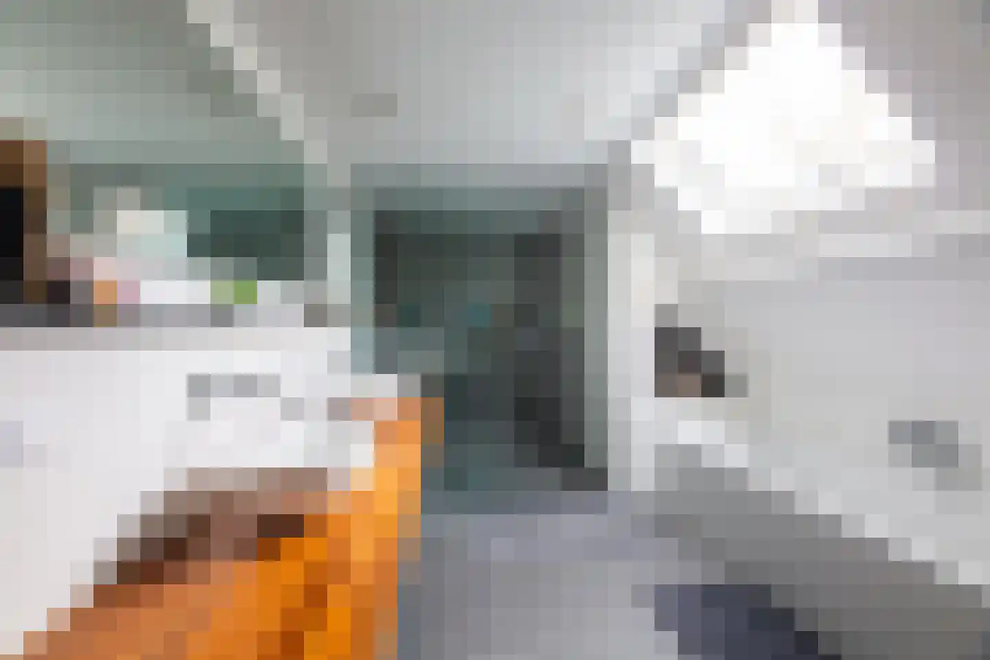 Noorderstraat 219 e Sappemeer thumbnail 23