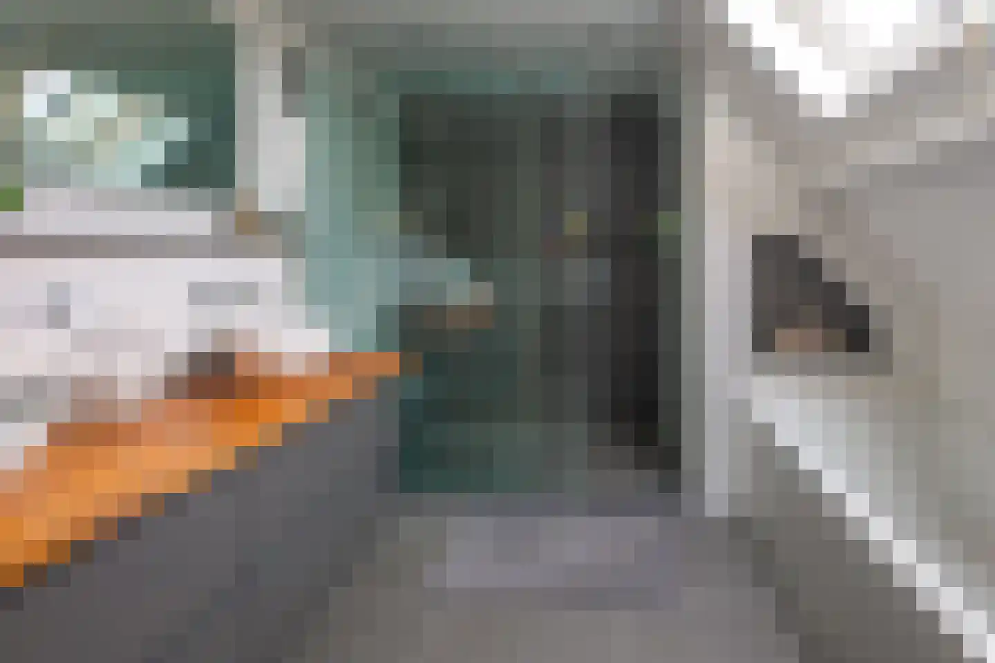 Noorderstraat 219 e Sappemeer thumbnail 24
