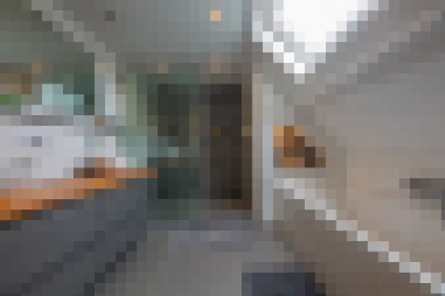 Noorderstraat 219 e Sappemeer thumbnail 26