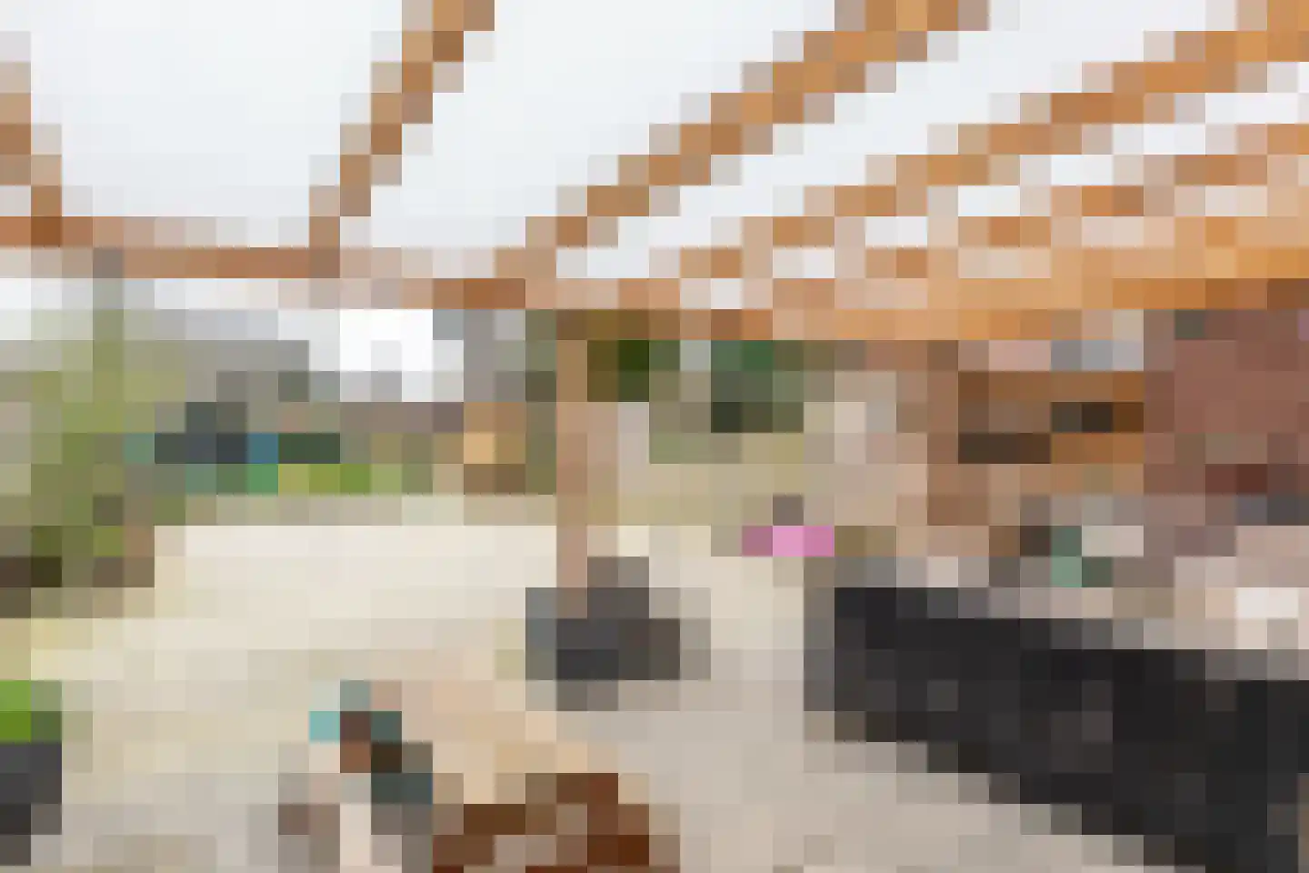 Noorderstraat 219 e Sappemeer thumbnail 33