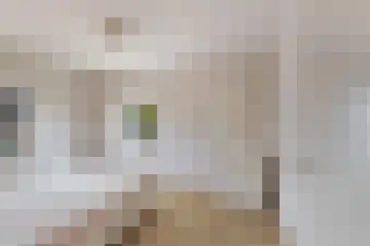 Noorderstraat 24 Krimpen aan den IJssel thumbnail 13
