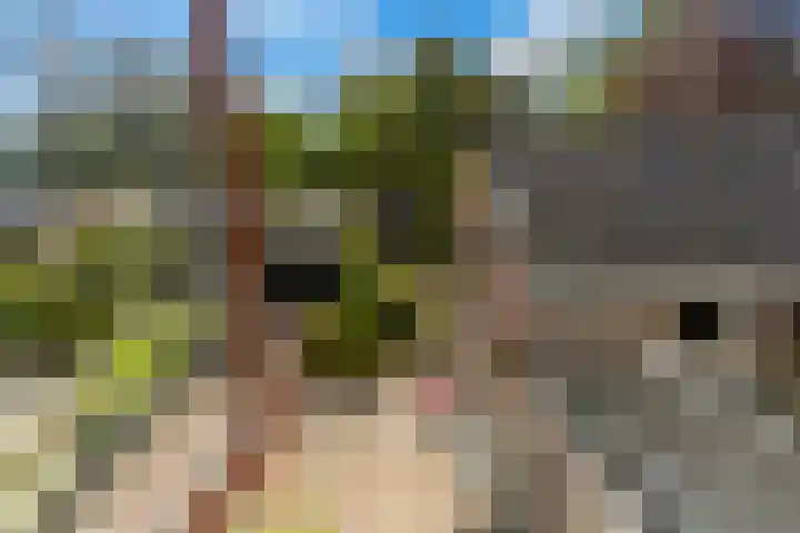 Noorderstraat 24 Krimpen aan den IJssel thumbnail 20