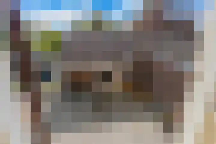 Noorderstraat 24 Krimpen aan den IJssel thumbnail 21