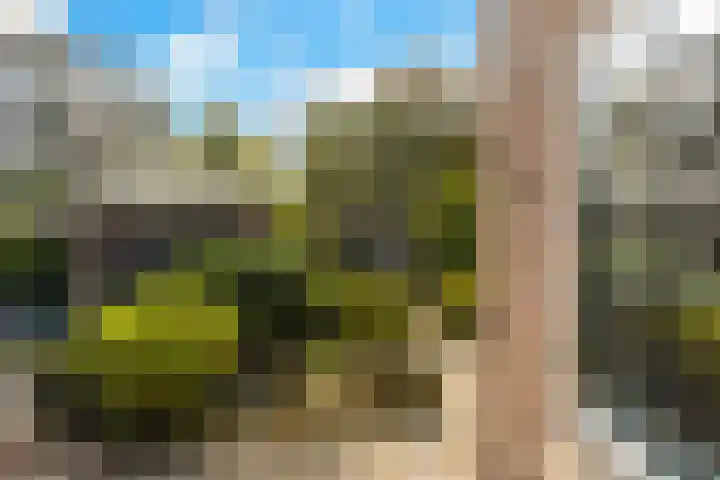 Noorderstraat 24 Krimpen aan den IJssel thumbnail 33