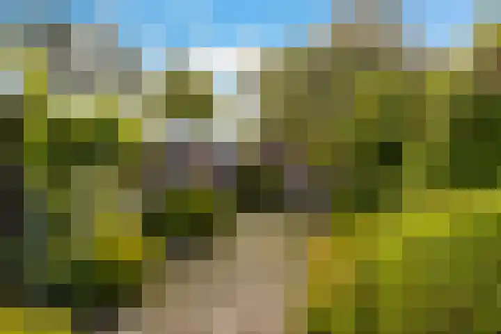 Noorderstraat 24 Krimpen aan den IJssel thumbnail 34