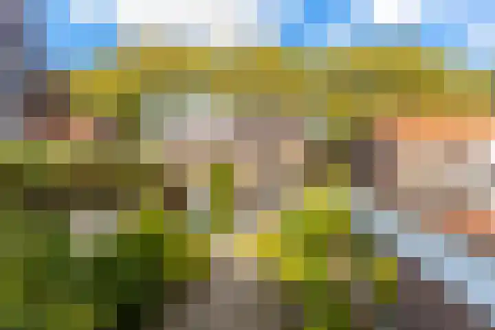 Noorderstraat 24 Krimpen aan den IJssel thumbnail 35