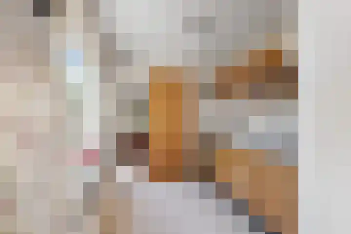 Noorderstraat 24 Krimpen aan den IJssel thumbnail 7
