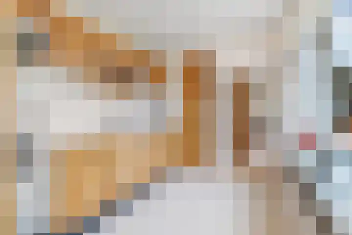 Noorderstraat 24 Krimpen aan den IJssel thumbnail 8