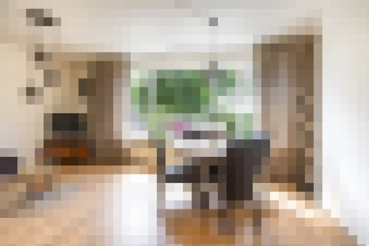 Noorderstraat 241 Sappemeer thumbnail 10