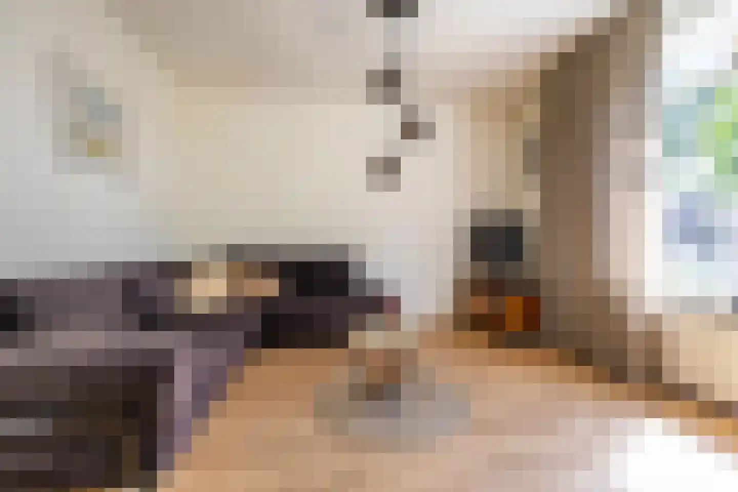 Noorderstraat 241 Sappemeer thumbnail 11