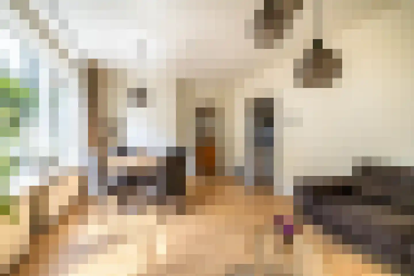 Noorderstraat 241 Sappemeer thumbnail 13