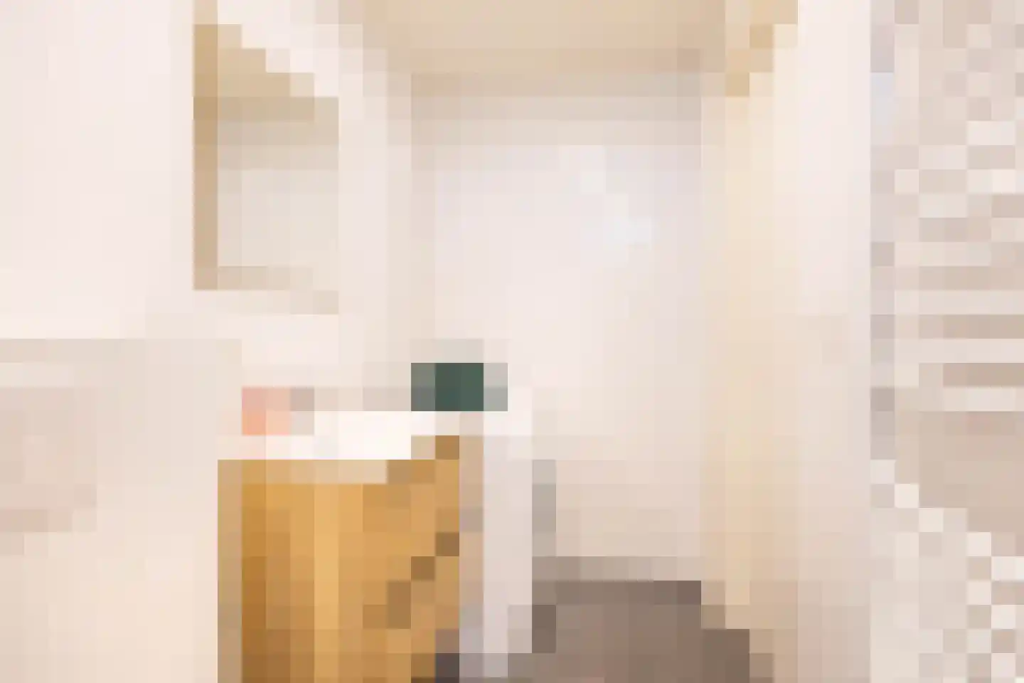 Noorderstraat 241 Sappemeer thumbnail 25