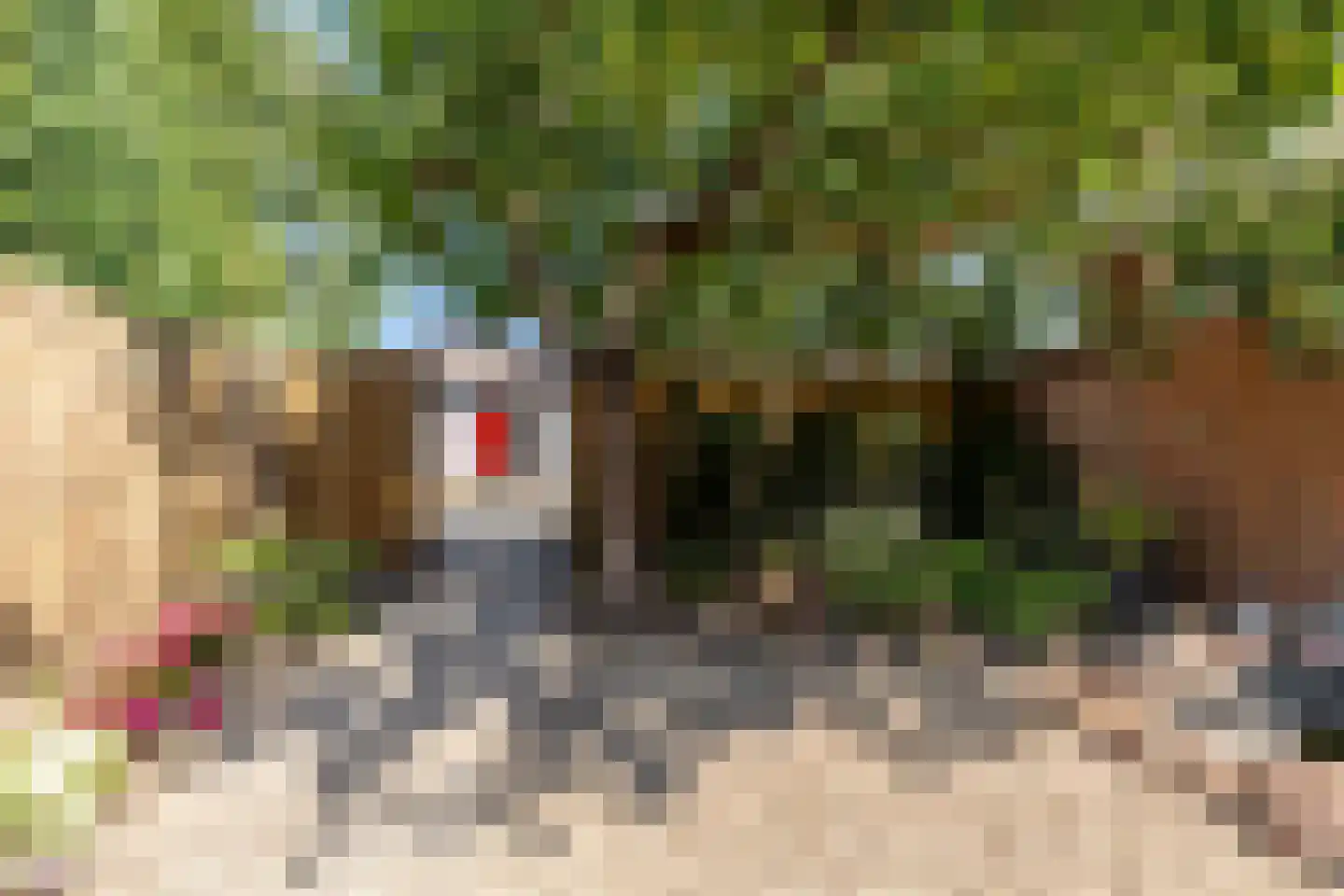 Noorderstraat 241 Sappemeer thumbnail 32