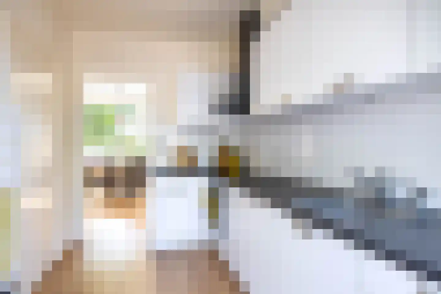 Noorderstraat 241 Sappemeer thumbnail 9