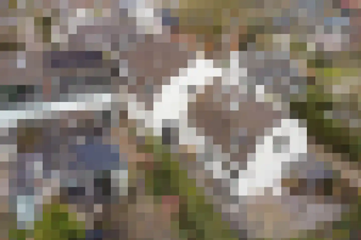 Noorderstraat 25 Baarn thumbnail 35
