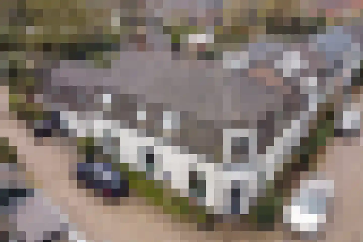 Noorderstraat 25 Baarn thumbnail 36
