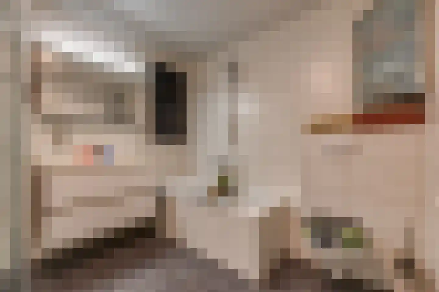 Noorderstraat 25 Buinerveen thumbnail 21