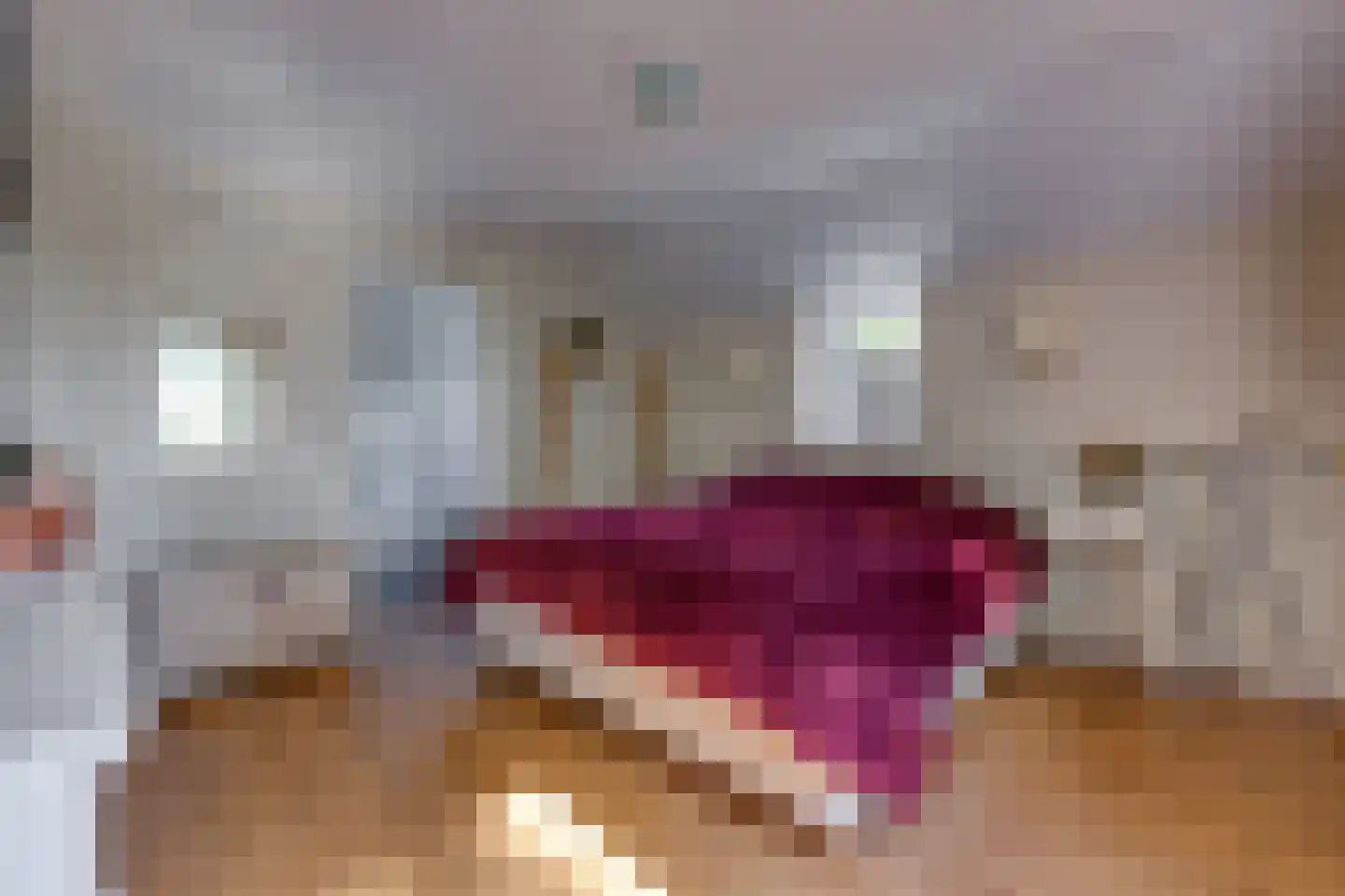 Noorderstraat 25 Buinerveen thumbnail 31