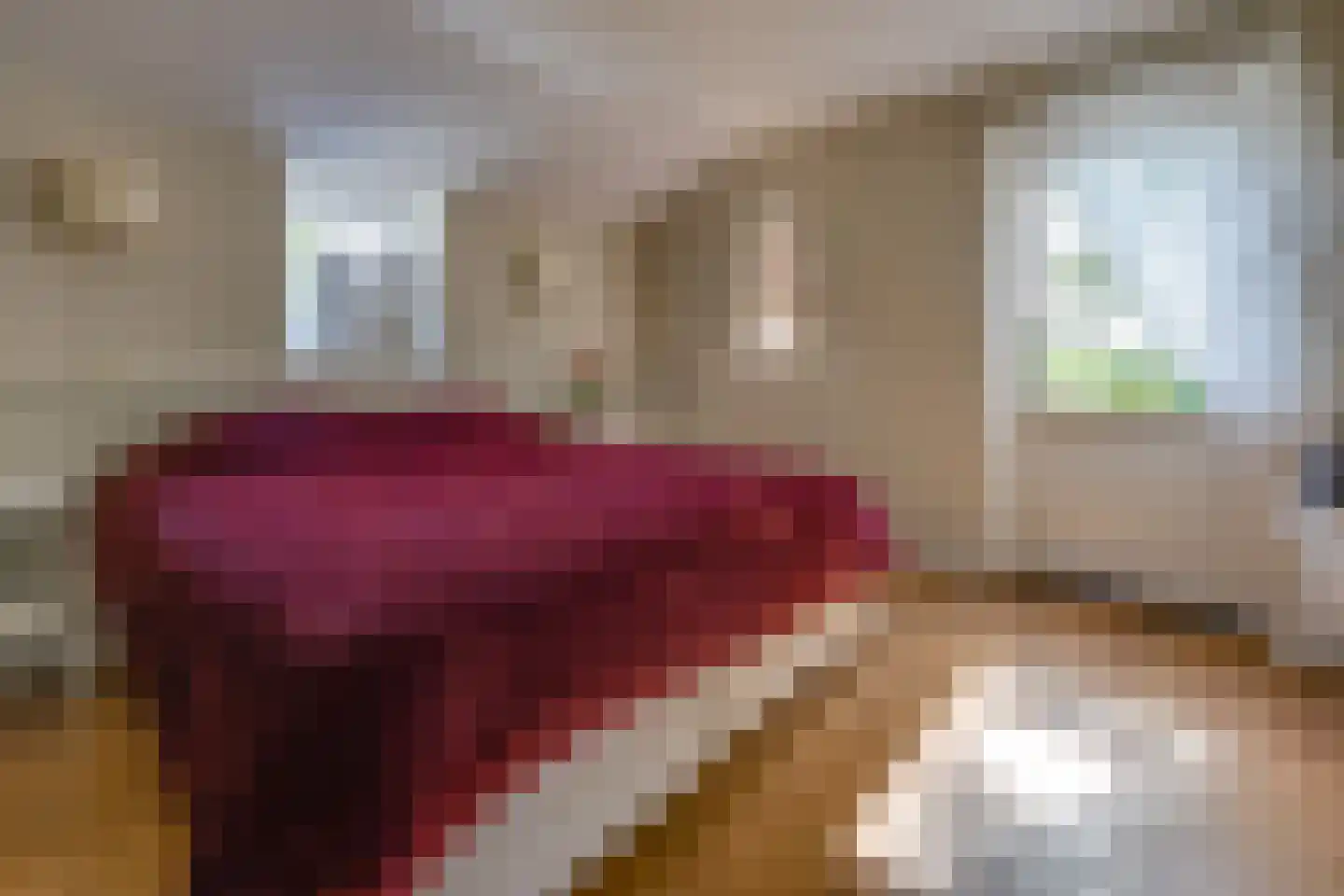 Noorderstraat 25 Buinerveen thumbnail 32