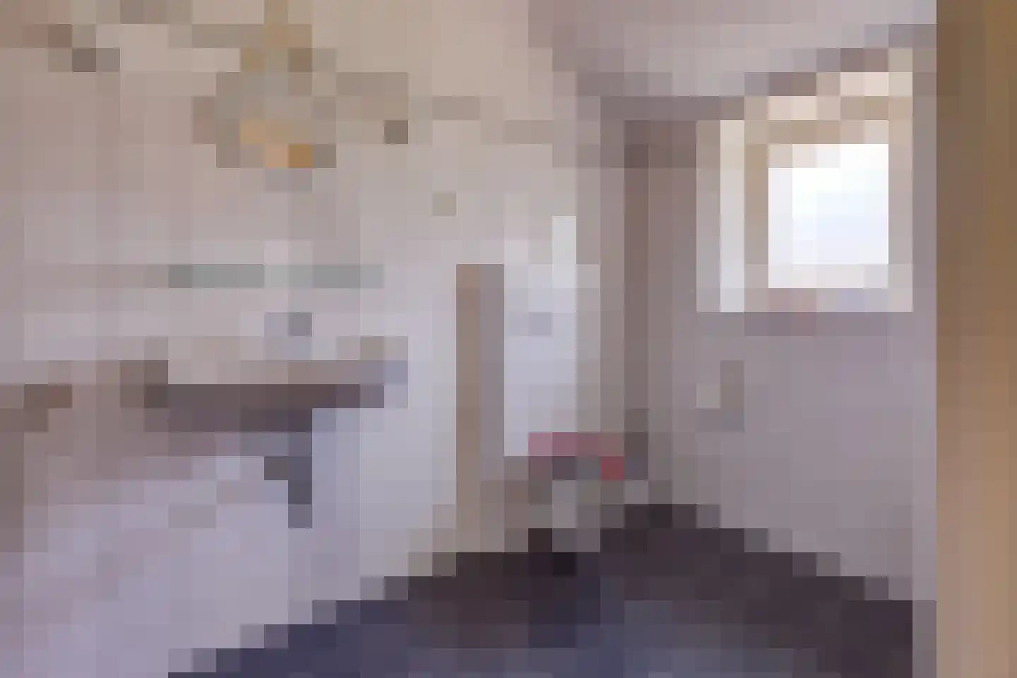 Noorderstraat 25 Buinerveen thumbnail 33
