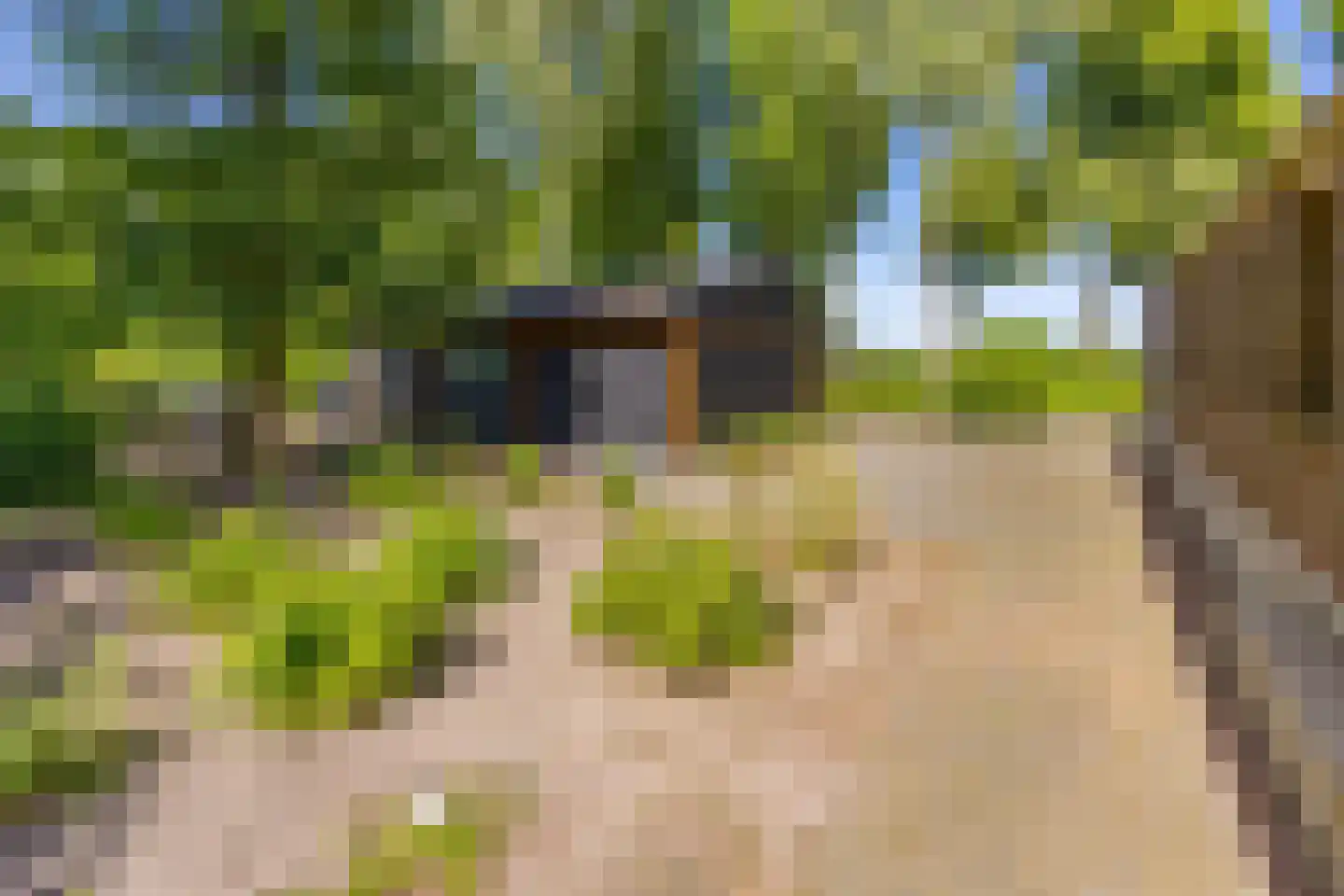 Noorderstraat 25 Buinerveen thumbnail 41